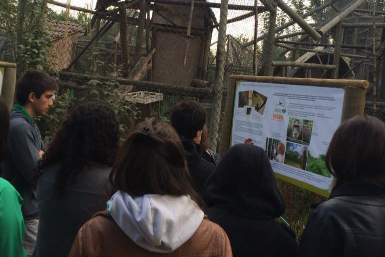 Conservación de primates